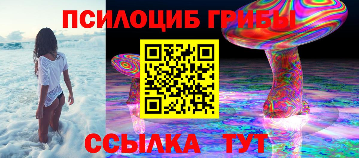 Галлюциногенные грибы MAGIC MUSHROOMS  Вход с VPN  Нижнекамск  Галлюциногенные грибы мухоморы 