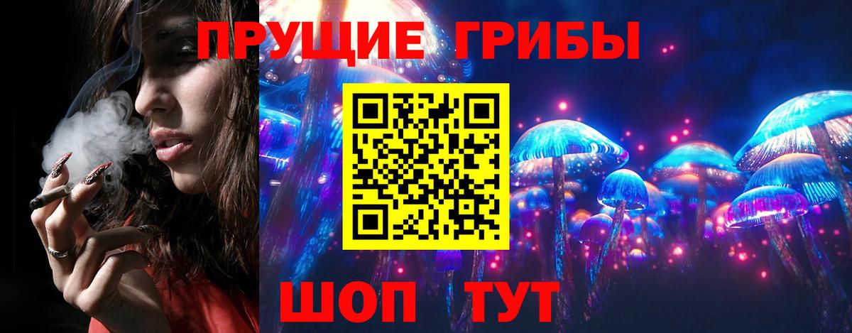 Галлюциногенные грибы GOLDEN TEACHER Нижнекамск